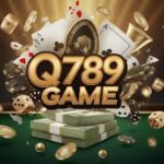 Q789 Game