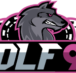 Wolf999 Game