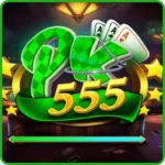 DK555 Game